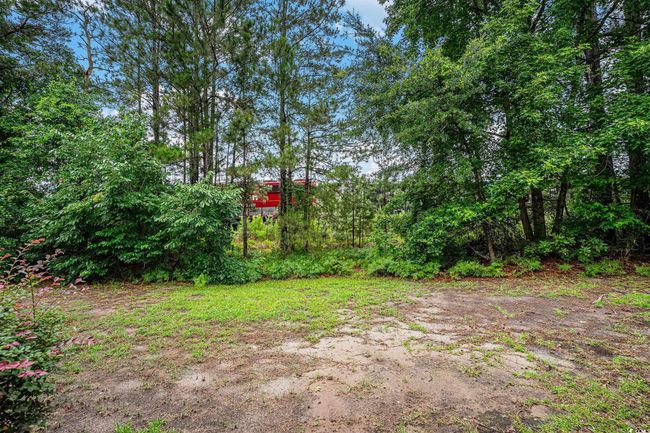 View of yard | Image 24