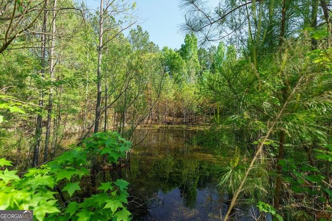 6053 Sun Hill Grange Rd, Home with 0 bedrooms, 0 bathrooms and null parking in Davisboro GA | Image 45