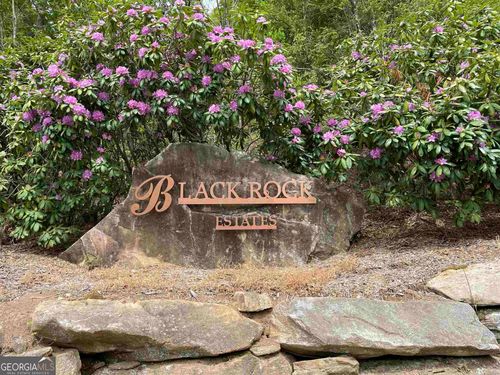 lot-40-0 N Germany Mountain Rd, Clayton, GA, 30525 | Card Image