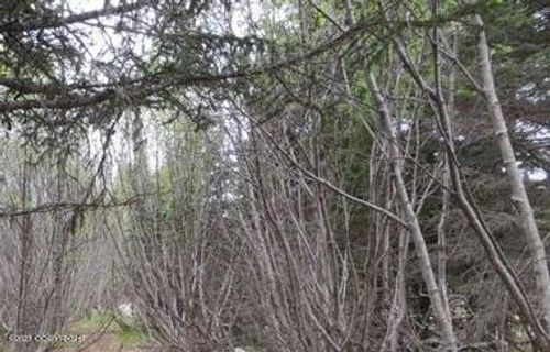 58088 Facio Rd, Clam Gulch, AK, 99568 | Card Image