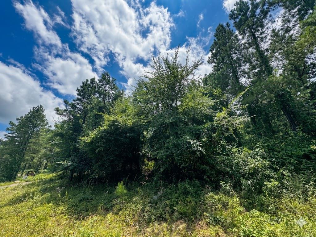 Land in Hochatown 2