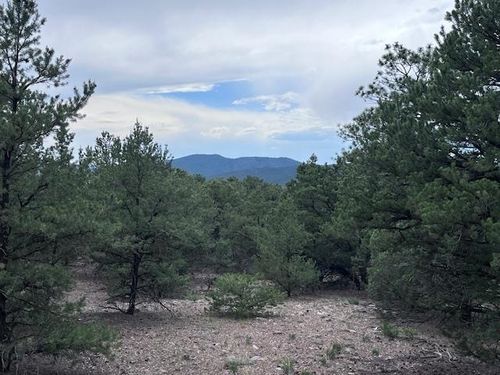 Lot 62 Upper Pinabette Rd, Questa, NM, 87556 | Card Image