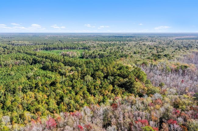 HFL_OSBORNE TRACT-43 | Image 7