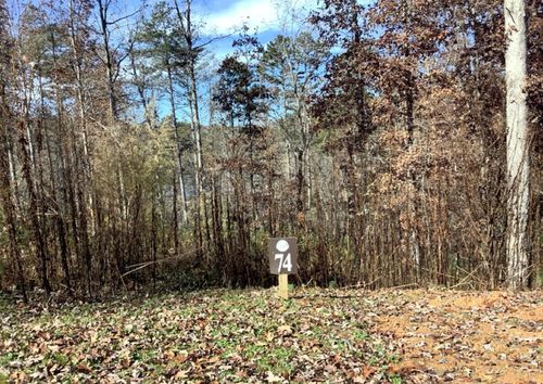 Lot 74 Hope Court, Ellijay, GA, 30540 | Card Image