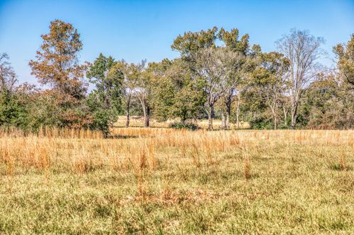 1967 Fm 489, Oakwood, TX, 75855-8408 | Card Image