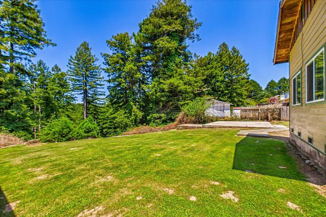 Back yard | Image 34