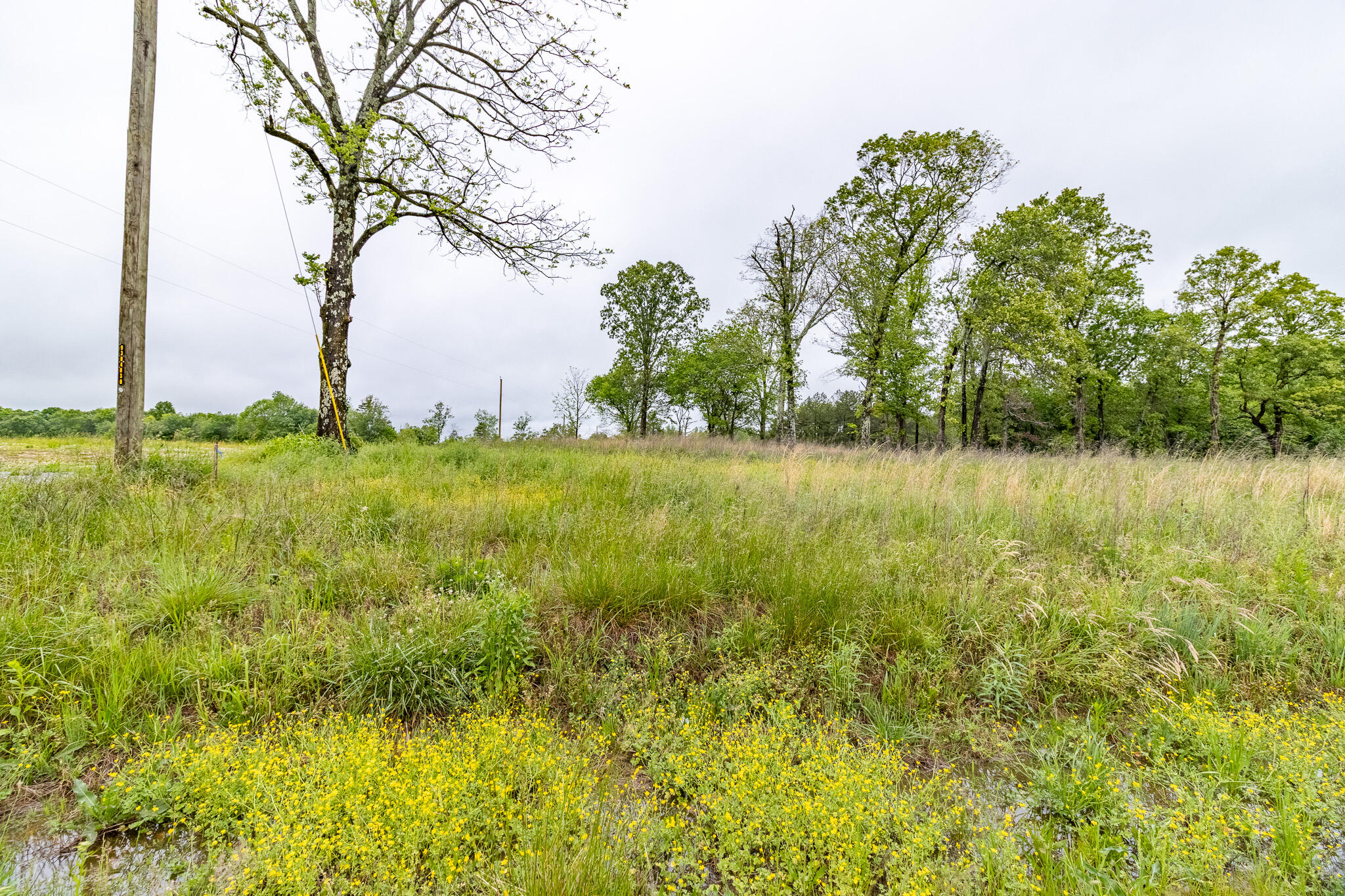Land in Trenton 3