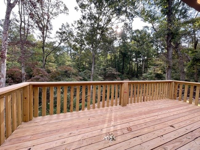 18 Dinsmoore Ln, House other with 3 bedrooms, 2 bathrooms and null parking in Bella Vista AR | Image 16