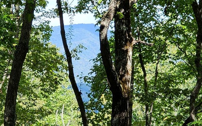 0 Lakeview Heights, Home with 0 bedrooms, 0 bathrooms and null parking in Hayesville NC | Image 10