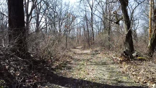 12100 Woodland Trl, Home with 0 bedrooms, 0 bathrooms and null parking in Davisburg MI | Image 11