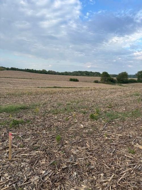 Lot 20 Sicilia Drive, WASHINGTON, WI, 54701 | Card Image