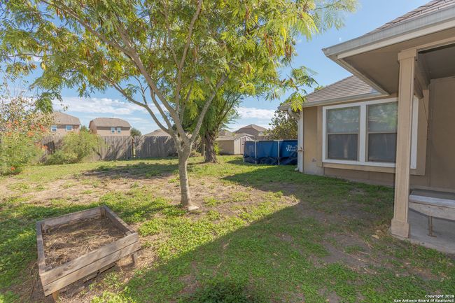 1469 Twin Cv, House other with 3 bedrooms, 2 bathrooms and null parking in Kyle TX | Image 15