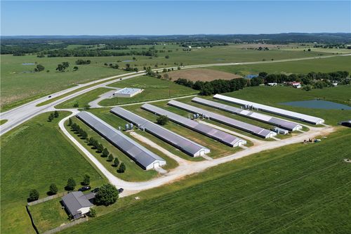 772 Madison 8235, Hindsville, AR, 72738 | Card Image