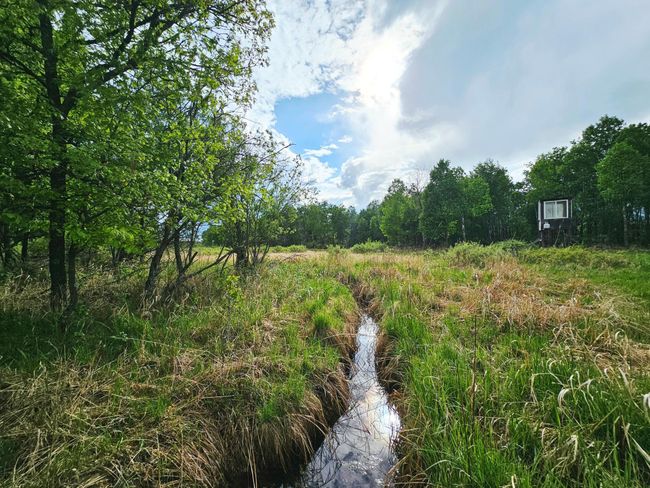 Creek meanders through property | Image 60