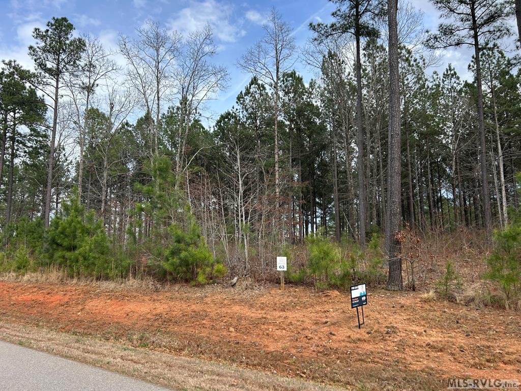 Land in Macon