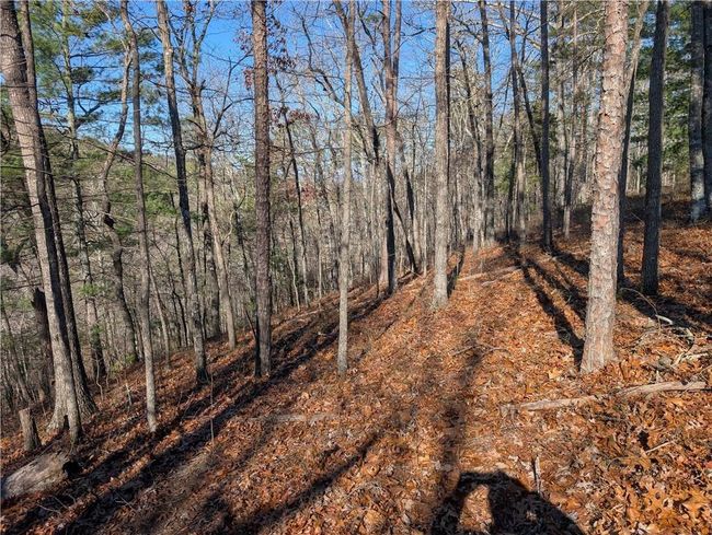 1400 Foxhound Trl Ne, Home with 0 bedrooms, 0 bathrooms and null parking in Ranger GA | Image 4