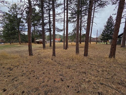 224 S Fairview Street, Woodland Park, CO, 80863 | Card Image