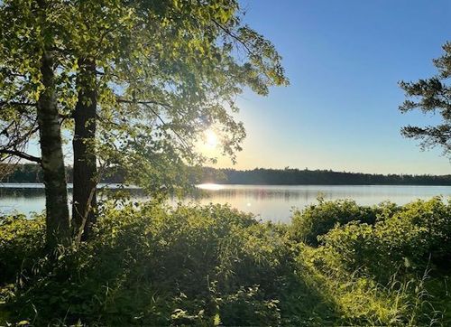 TBD Variety Lake Drive Nw, Hackensack, MN, 56452 | Card Image