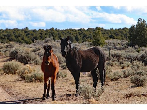 17 Alta Mesa Dr, San Luis, CO, 81152 | Card Image