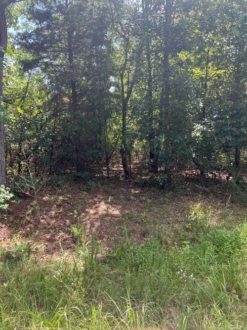 0000 Burnt Ridge Rd., Shirley, AR, 72153 | Card Image