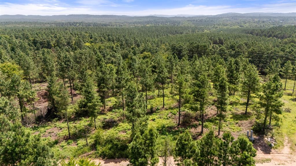 Land in Broken Bow