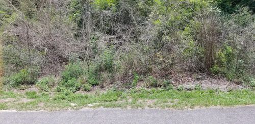 0 Savage St, Walterboro, SC, 29488 | Card Image