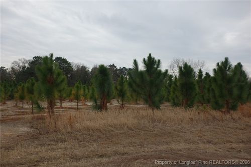 Lot 39 Stuarts Mill Rd, Fairmont, NC, 28340 | Card Image
