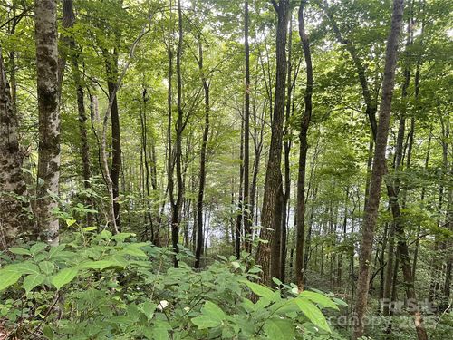 200 Sweet Birch Ln, Tuckasegee, NC, 28783 | Card Image