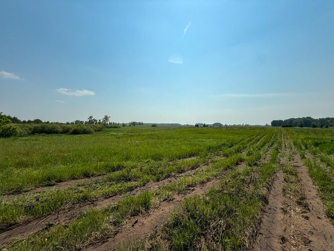 18 N Stephens Rd, Home with 0 bedrooms, 0 bathrooms and null parking in Custer MI | Image 14
