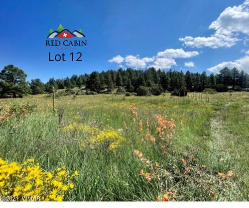 Lot 12 Red Cabin Ranch, Vernon, AZ, 85940 | Card Image