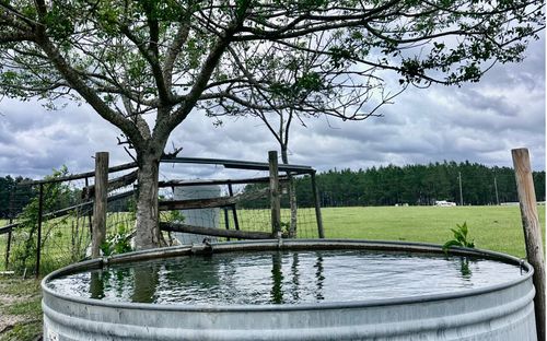 TBD Sw Morning Star Gln, Fort White, FL, 32038 | Card Image