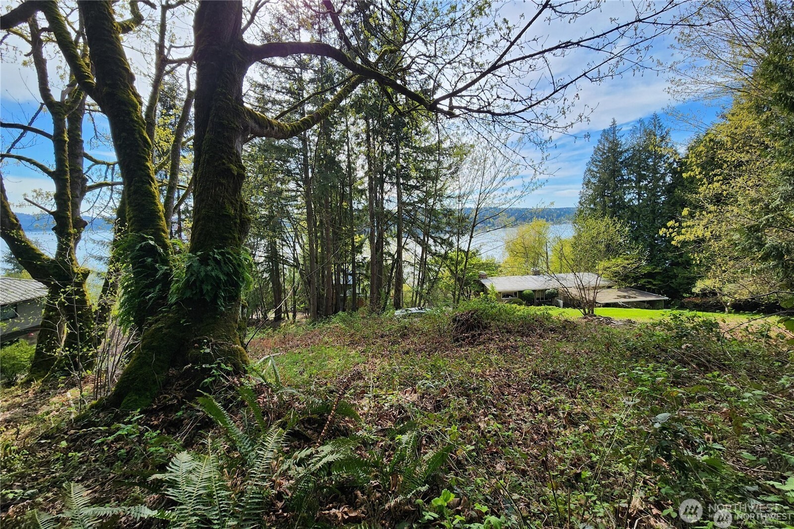 Land in Sammamish 3