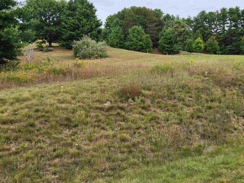 V/L Airport Road, Crystal Lake Township, MI, 49635 | Card Image