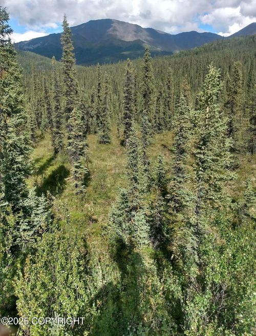 000 Remote, Slana, AK, 99586 | Card Image