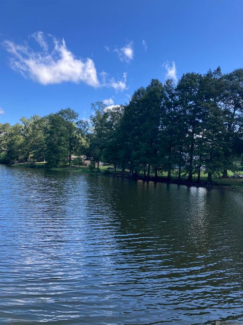 8105 Raleigh Dr, Ethel, LA, 70730-3814 | Card Image