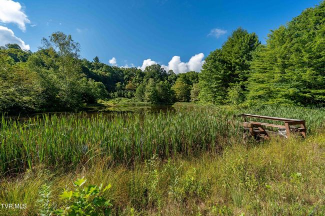 306 Bear Branch Rd, Home with 0 bedrooms, 0 bathrooms and null parking in Roan Mountain TN | Image 28