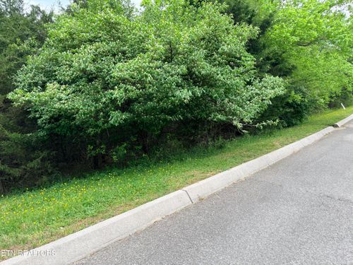 lot-206-206 Wedge Way, Tazewell, TN, 37879-6189 | Card Image