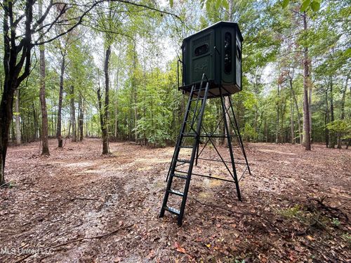 8145 Gordon Station Rd, Port Gibson, MS, 39150-2836 | Card Image