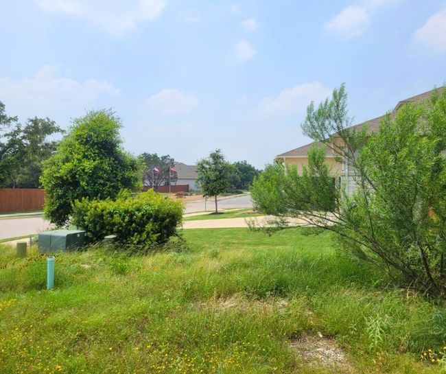 View of yard | Image 17