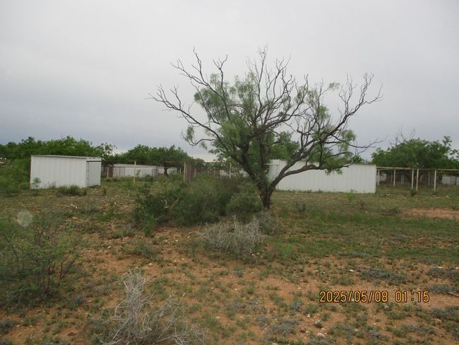 420 Juniper Rd, House other with 3 bedrooms, 2 bathrooms and 3 parking in Bronte TX | Image 26