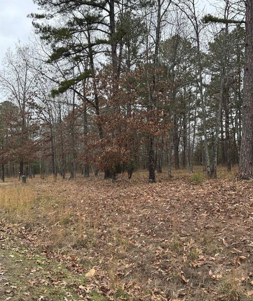 Lot 51 Primrose Creek Cir, Heber Springs, AR, 72543-8753 | Card Image