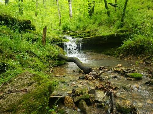 0 Sycamore Valley Rd, Pleasant Shade, TN, 37145 | Card Image