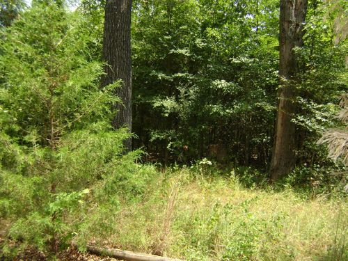 206 &amp; 208 Wedge Road, Horseshoe Bend, AR, 72512-0000 | Card Image