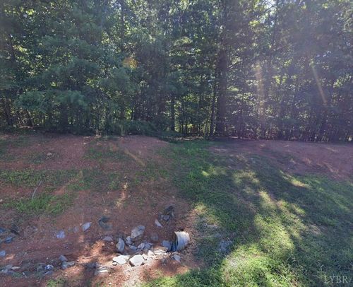 0 Runaway Bay Rd, Lynch Station, VA, 24571 | Card Image