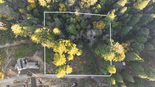 0 Path In The Woods, Berry Creek, CA, 95916 | Card Image