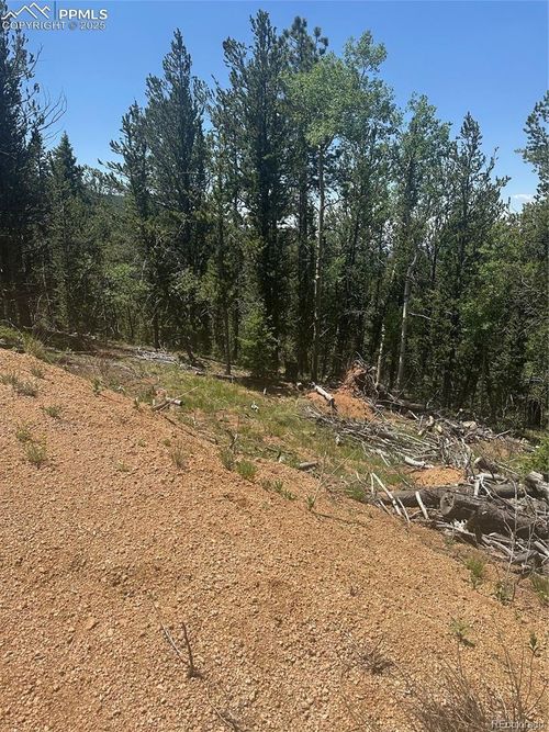 110 Brown Bear Ln, Cripple Creek, CO, 80813 | Card Image