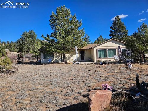 20 Osage Ave, Lake George, CO, 80827 | Card Image