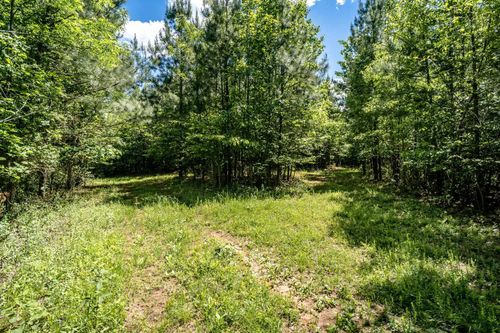 2 Green Creek Rd, SCHUYLER, VA, 22969 | Card Image