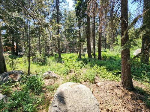 5 Monty Wolf Rd, Bear Valley, CA, 95223-9449 | Card Image
