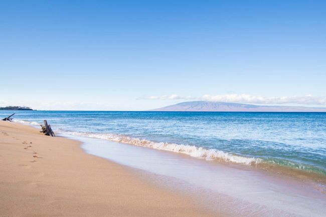 237 - 130 Kai Malina Pkwy, Condo with 0 bedrooms, 1 bathrooms and null parking in Lahaina HI | Image 44